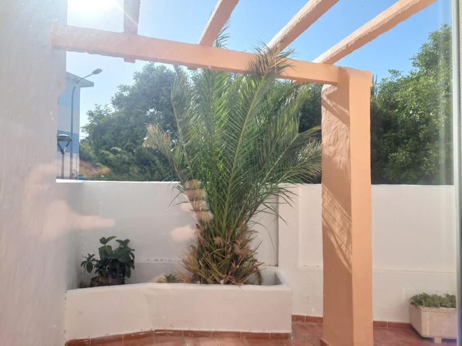 Piscina, Wifi, Patio Con Vistas Leilighet Tarifa Eksteriør bilde