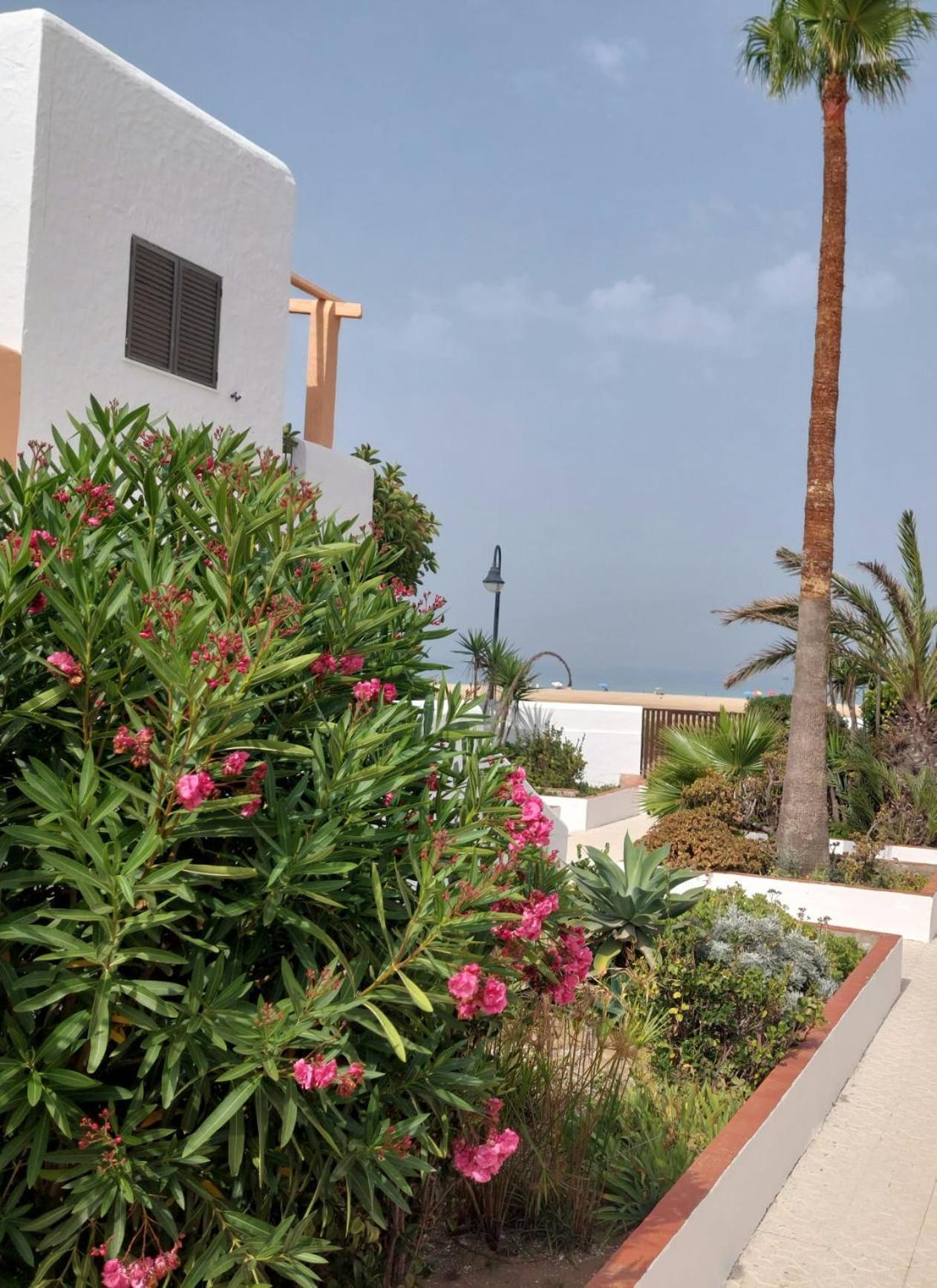 Piscina, Wifi, Patio Con Vistas Leilighet Tarifa Eksteriør bilde