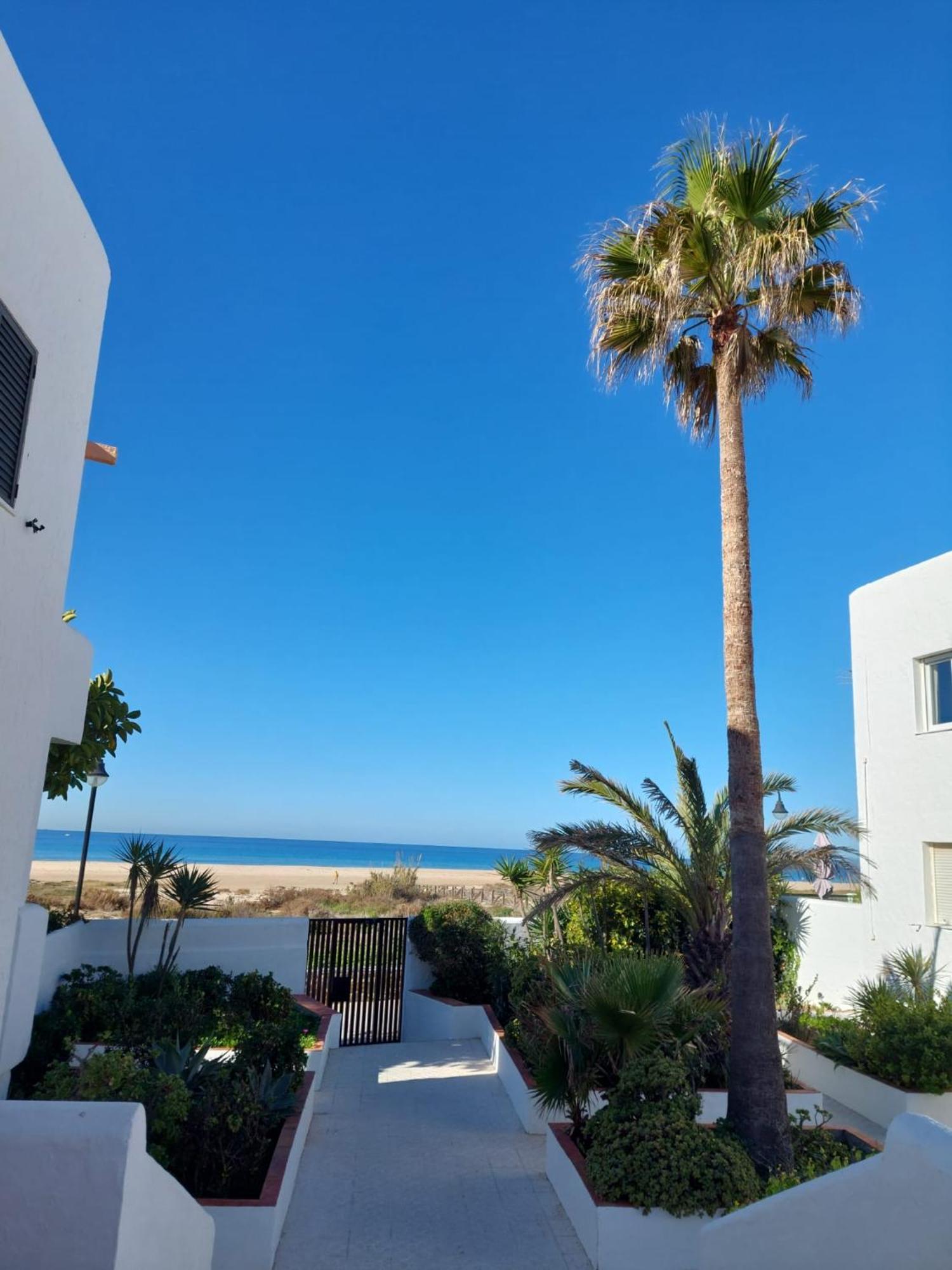 Piscina, Wifi, Patio Con Vistas Leilighet Tarifa Eksteriør bilde